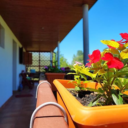 Apartman Dunav Aljmaš Exteriér fotografie