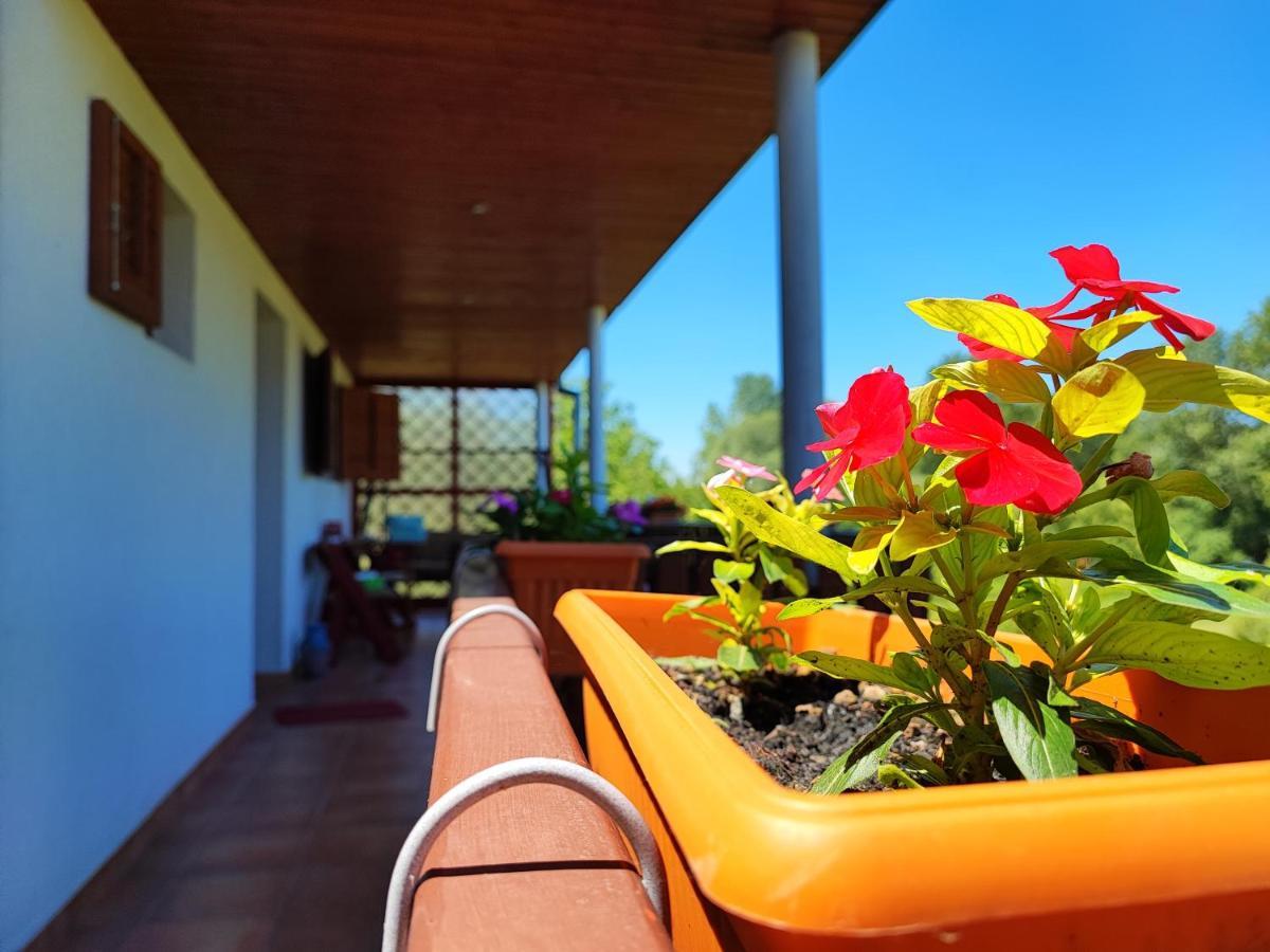 Apartman Dunav Aljmaš Exteriér fotografie